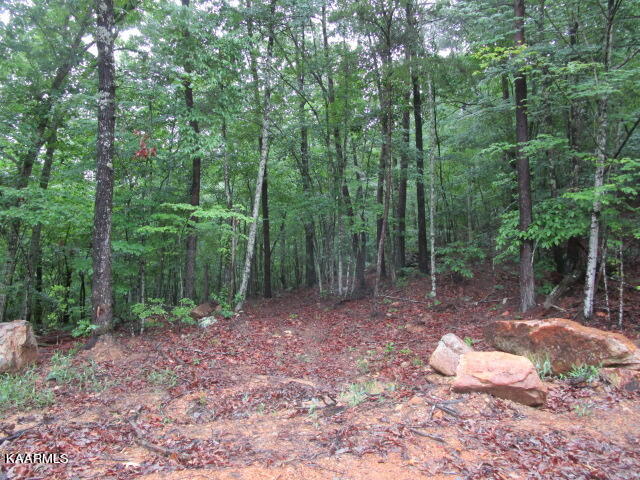 Poor Valley Rutledge, TN 37861 - Photo 16 of 18 IMG_3459