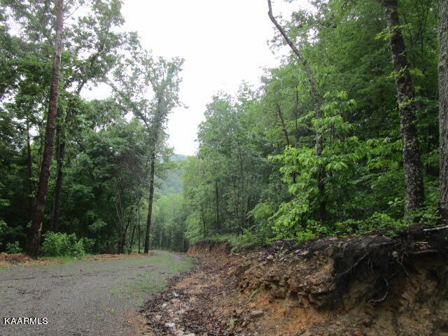 Poor Valley Rutledge, TN 37861 - Photo 18 of 18 IMG_3462
