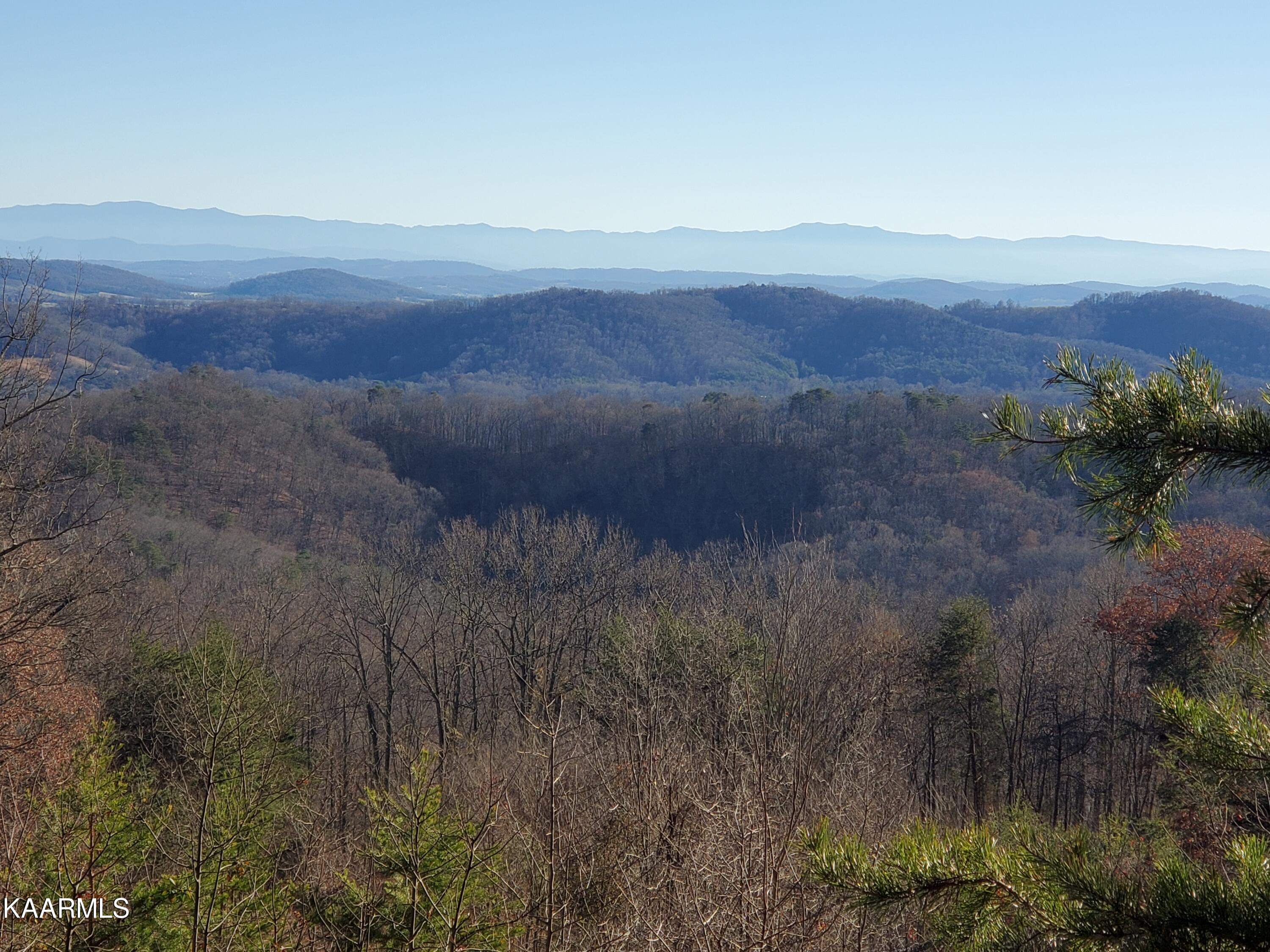 Poor Valley Rutledge, TN 37861 - Photo 2 of 18 cac300