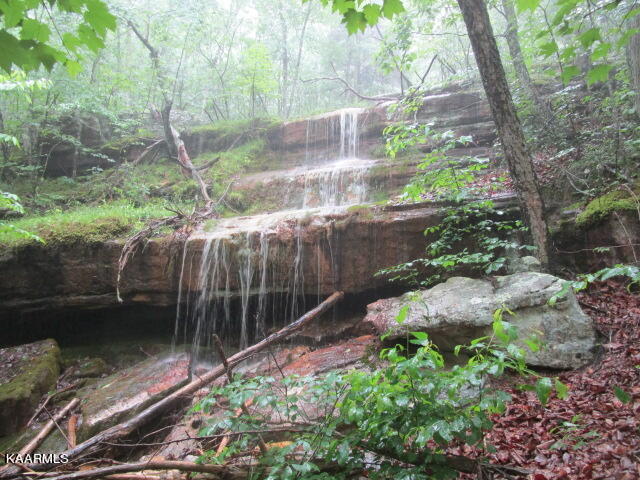 Poor Valley Rutledge, TN 37861 - Photo 3 of 18 IMG_3450