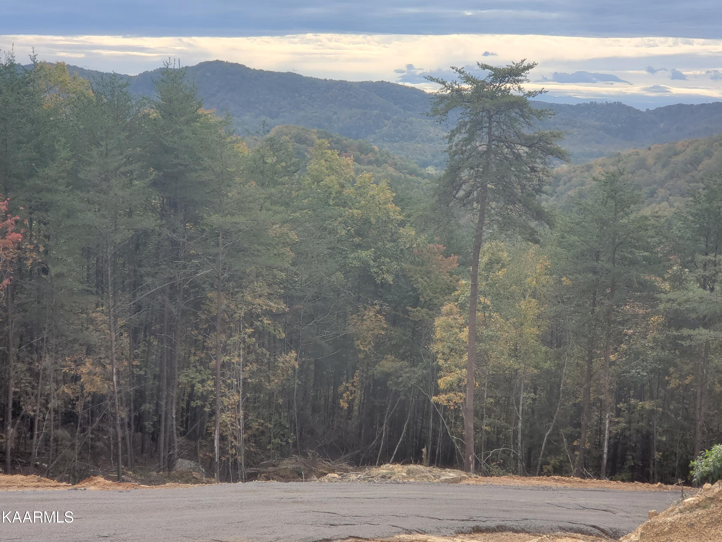 Poor Valley Rutledge, TN 37861 - Photo 4 of 18 2cac300