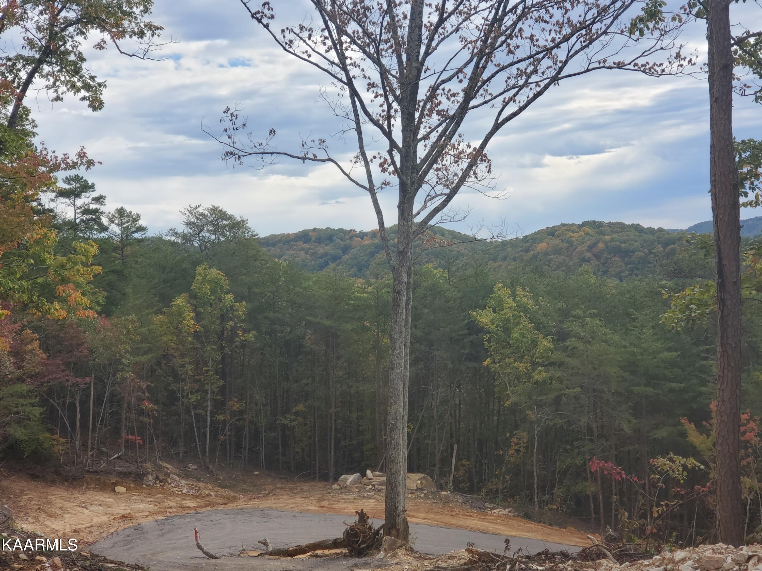 Poor Valley Rutledge, TN 37861 - Photo 5 of 18 3cac300