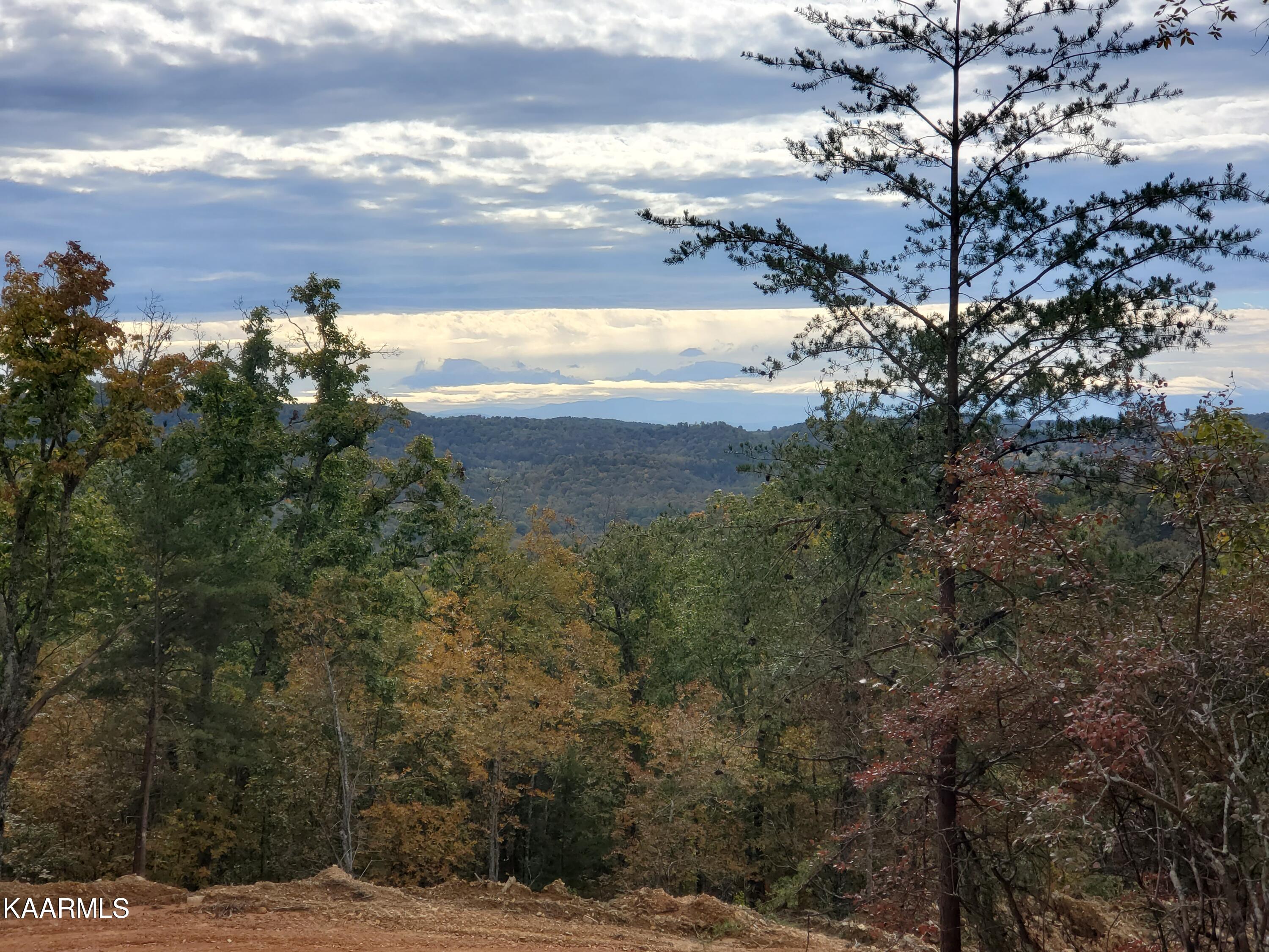 Poor Valley Rutledge, TN 37861 - Photo 6 of 18 4cac300
