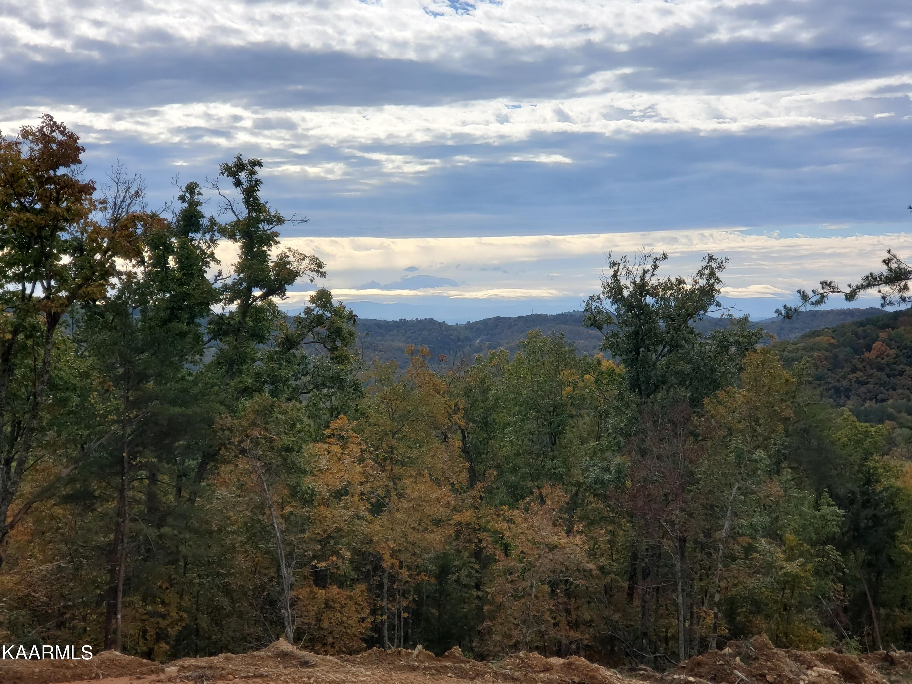 Poor Valley Rutledge, TN 37861 - Photo 7 of 18 5cac300