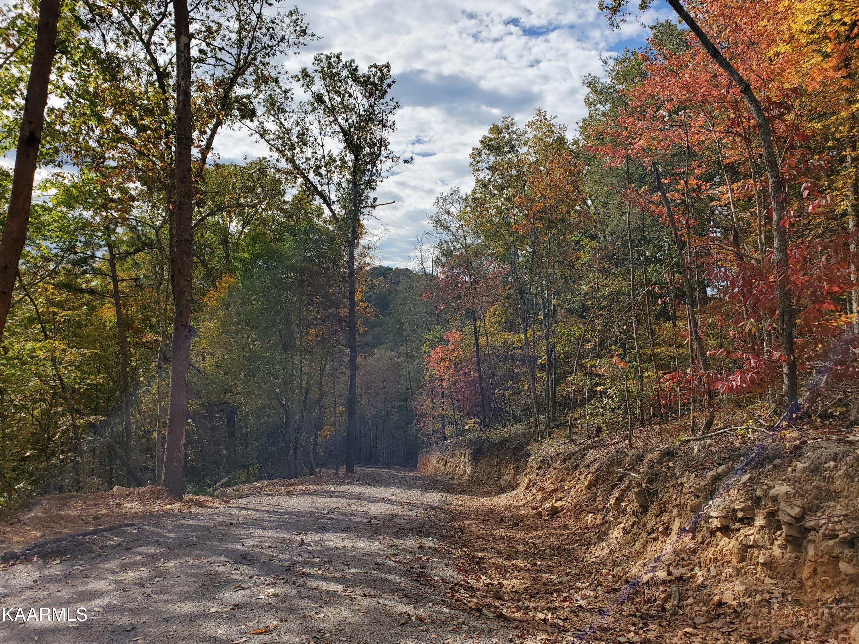 Poor Valley Rutledge, TN 37861 - Photo 8 of 18 20211028_114052