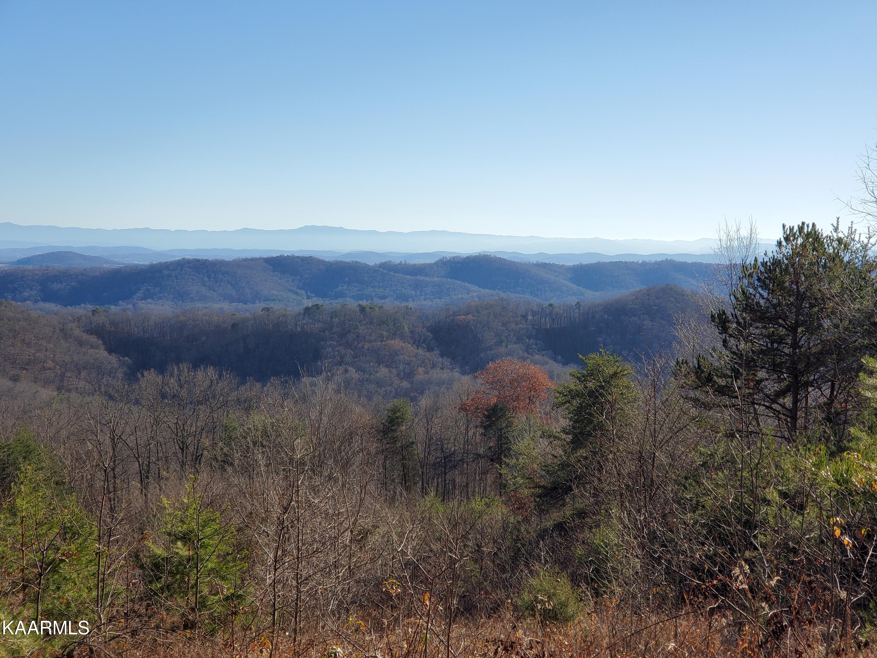 Poor Valley Rutledge, TN 37861 - Photo 9 of 18 20211212_145922