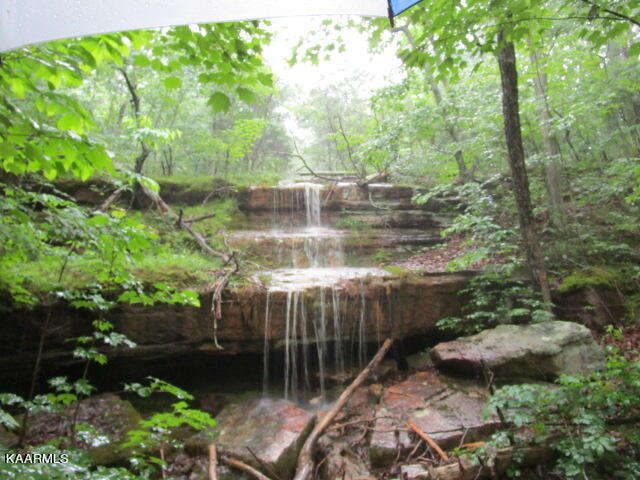 Poor Valley Rutledge, TN 37861 - Photo 10 of 18 IMG_3452