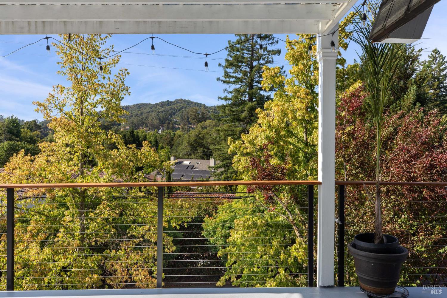 347 Jewell Street San Rafael, CA 94901 - Photo 15 of 61