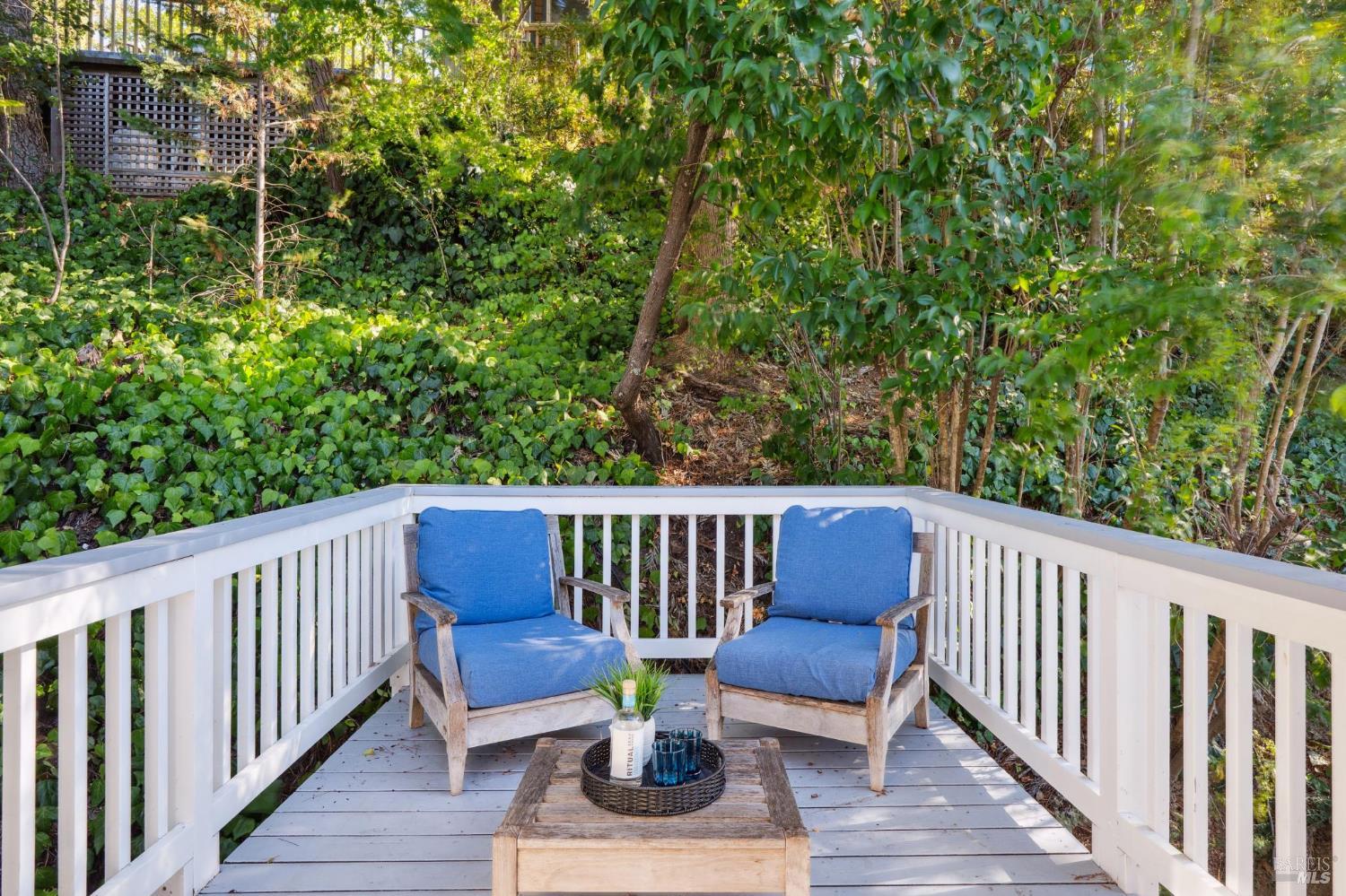 347 Jewell Street San Rafael, CA 94901 - Photo 50 of 61