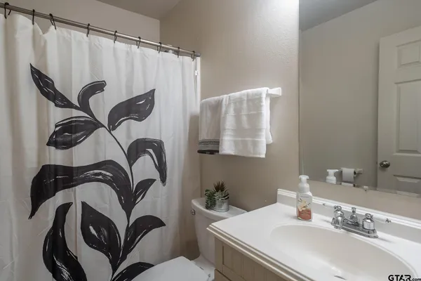 a bathroom with a sink a toilet and a mirror