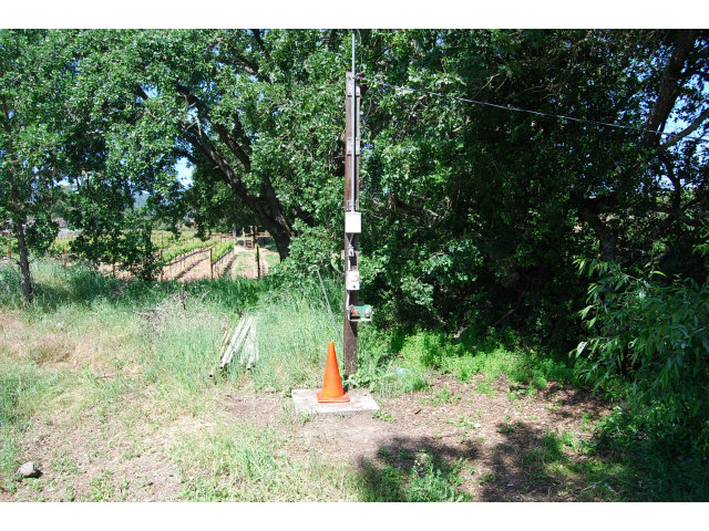 3875 Hecker Pass Road Gilroy, CA 95020 - Photo 8 of 9 a view of a yard with a tree