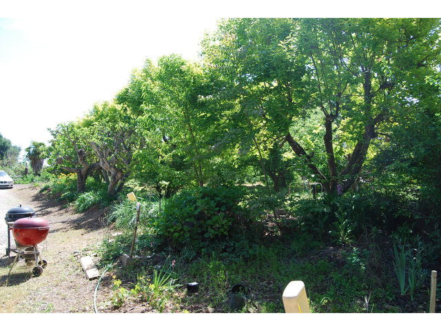 3875 Hecker Pass Road Gilroy, CA 95020 - Photo 9 of 9