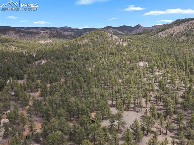 80 South Crystal Road Lake George, CO 80827 - Photo 35 of 48 corner of the property backing to National Park