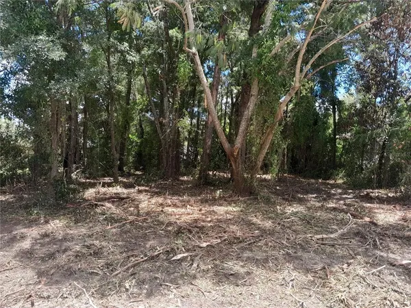 $16,000 | Tbd Northeast 48th Street, Williston, FL 32696