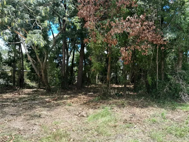 a view of outdoor space with trees
