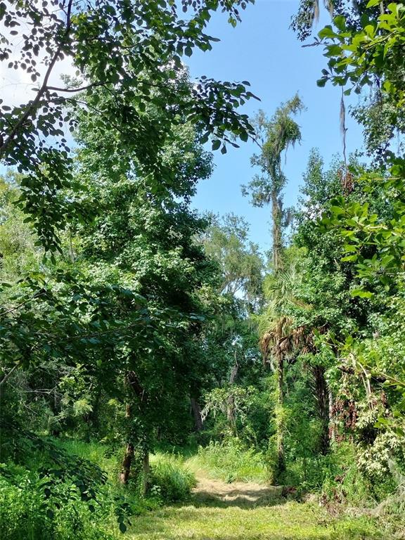 35949 Bozeman Road Dade City, FL 33525 - Photo 96 of 100 Gallery Image 96