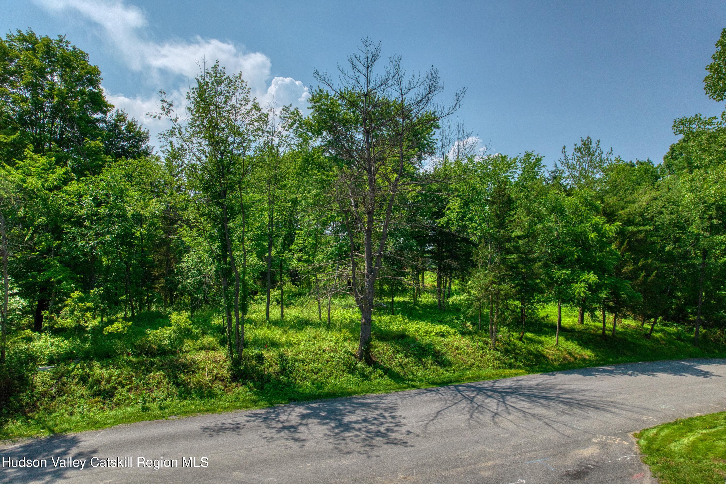45 Randy Road Athens, NY 12015 - Photo 2 of 10 DJI_0785_HDR
