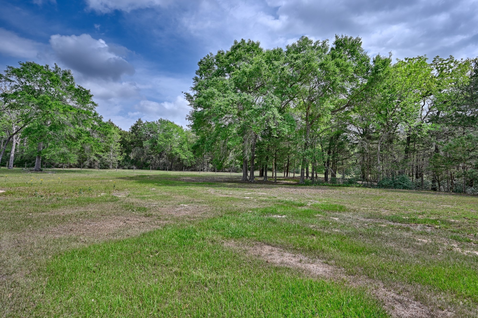 6450 Baranowski Road Brenham, TX 77833 - Photo 36 of 48