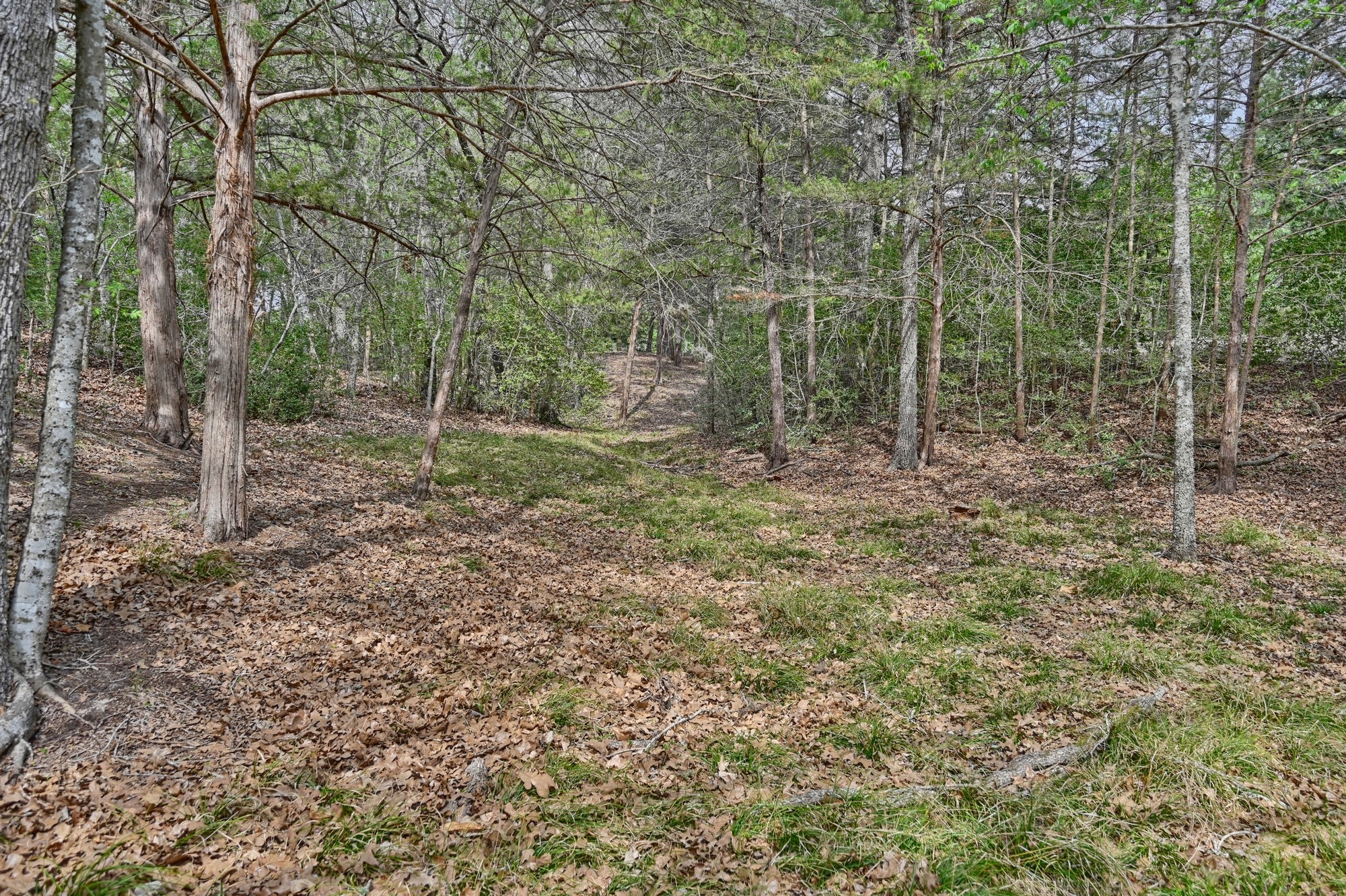 6450 Baranowski Road Brenham, TX 77833 - Photo 43 of 48