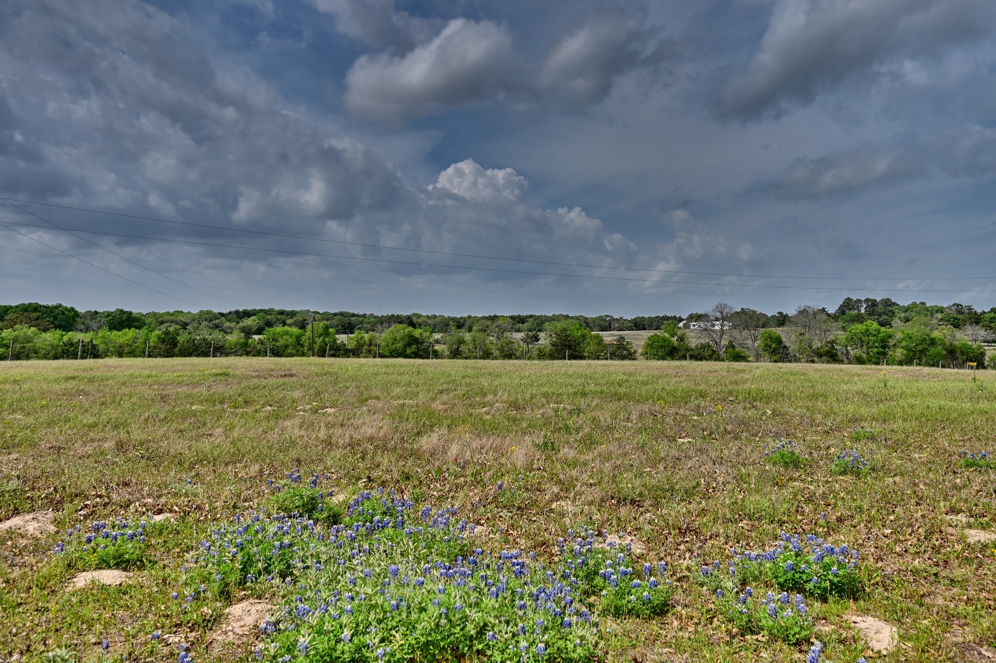 6450 Baranowski Road Brenham, TX 77833 - Photo 7 of 48
