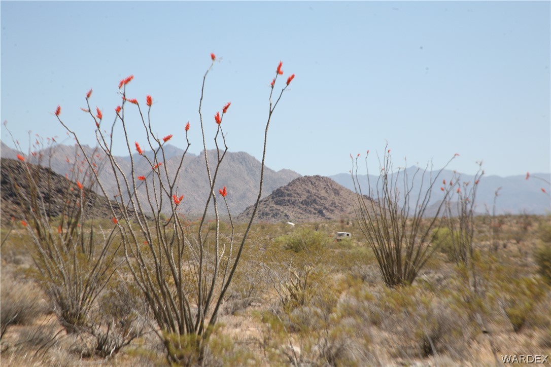 245-24-067a Lorton Road Yucca, AZ 86438 - Photo 10 of 42