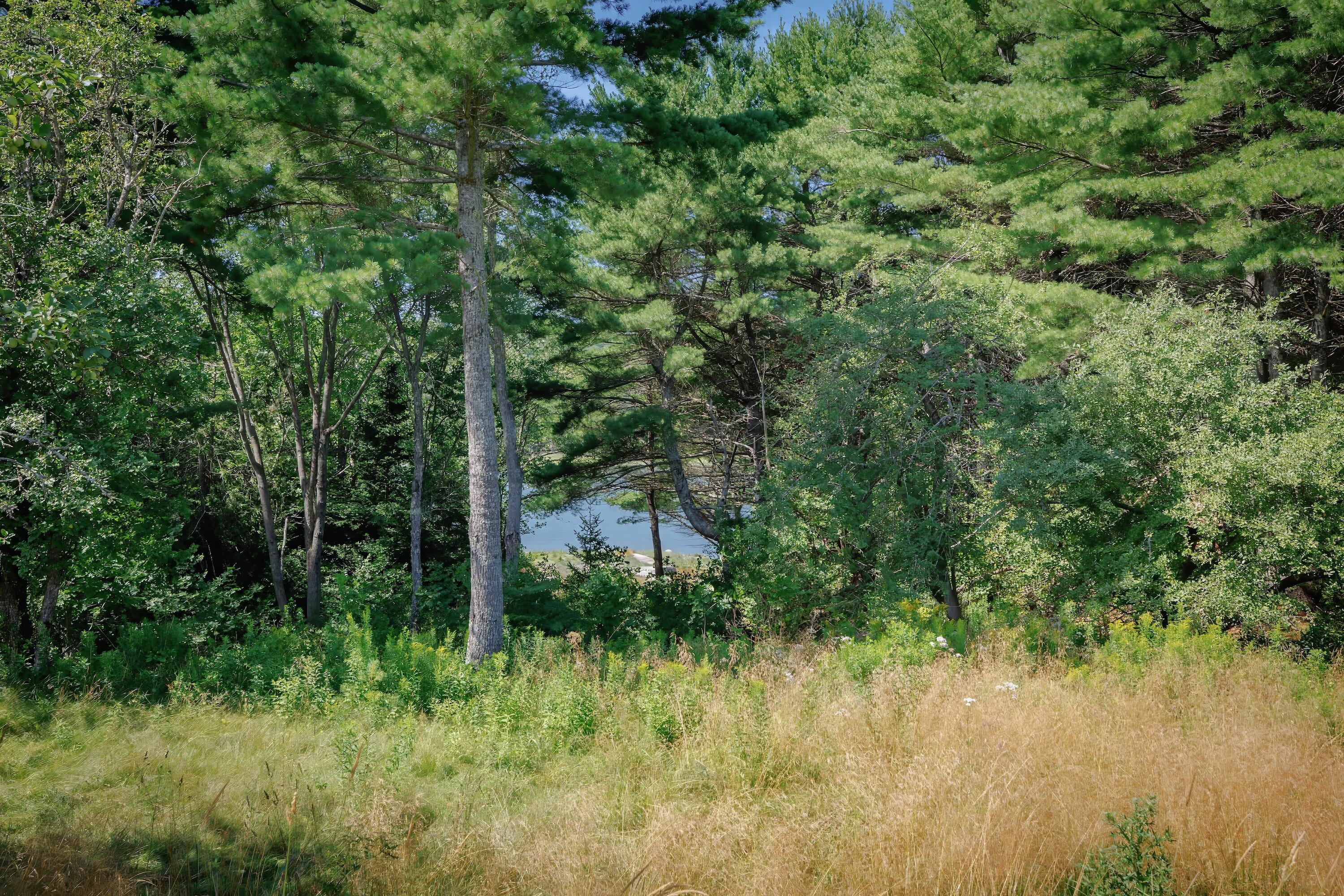 120 Youngs Point Road Brooksville, ME 04617 - Photo 131 of 135 120 youngs - 131