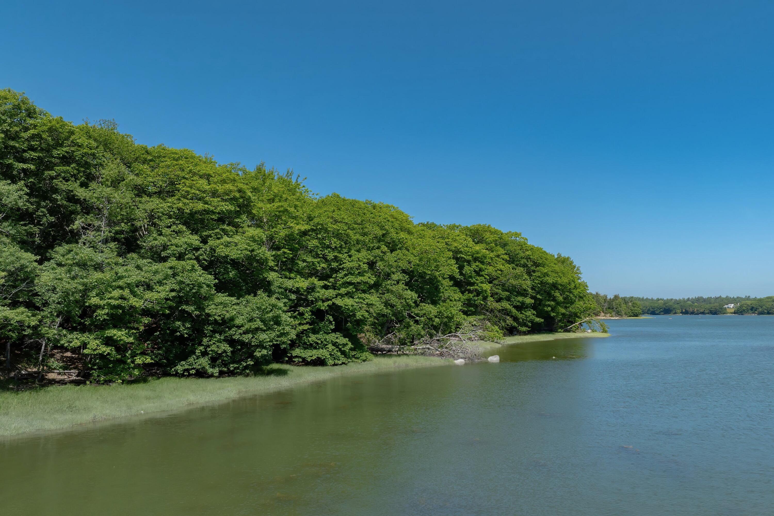 120 Youngs Point Road Brooksville, ME 04617 - Photo 94 of 135 120 youngs - 94