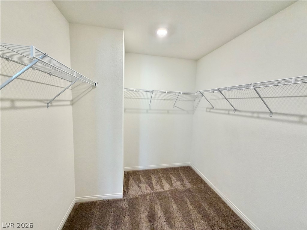 3624 Bitonto Lane Henderson, NV 89044 - Photo 19 of 28 This spacious closet features ample shelving and soft carpeting, providing generous storage.