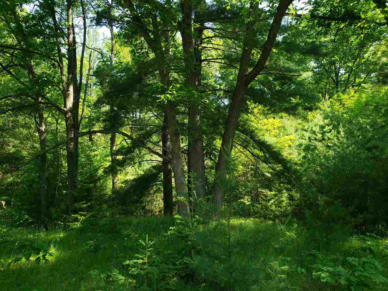 Nhn Lawrence Road Harrison, MI 48625 - Photo 3 of 7