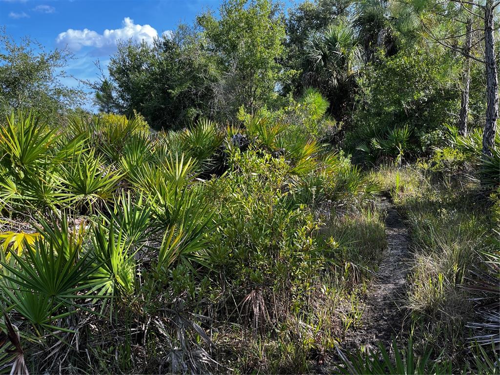 50204 Bermont Road Punta Gorda, FL 33982 - Photo 11 of 50