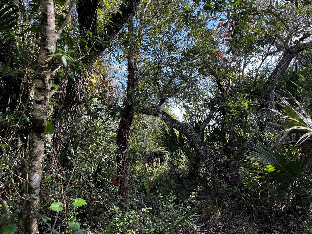 50204 Bermont Road Punta Gorda, FL 33982 - Photo 14 of 50