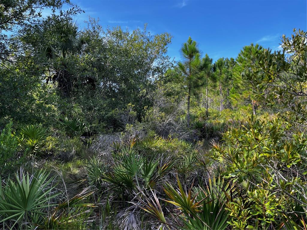 50204 Bermont Road Punta Gorda, FL 33982 - Photo 18 of 50