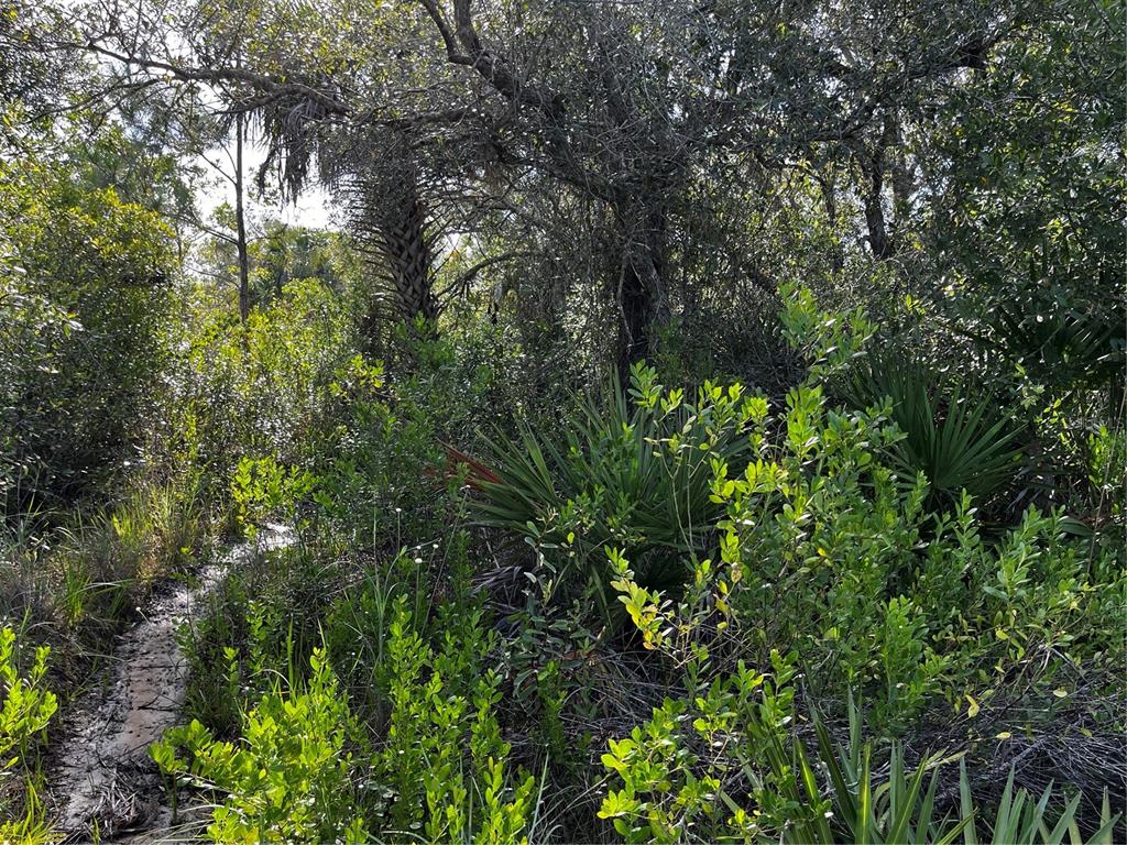 50204 Bermont Road Punta Gorda, FL 33982 - Photo 19 of 50