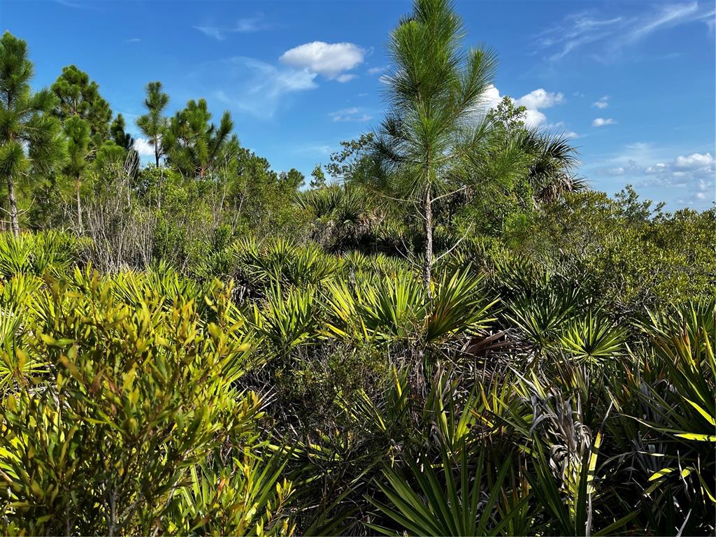 50204 Bermont Road Punta Gorda, FL 33982 - Photo 22 of 50