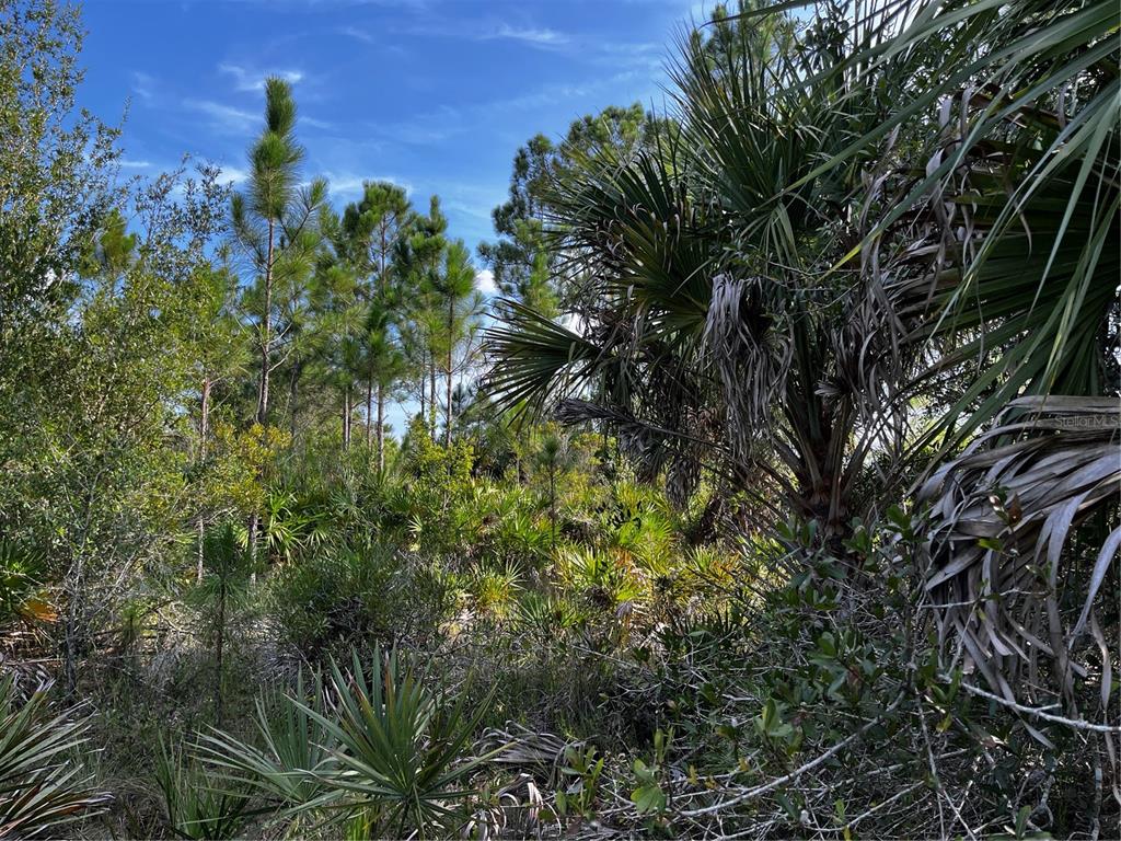 50204 Bermont Road Punta Gorda, FL 33982 - Photo 30 of 50