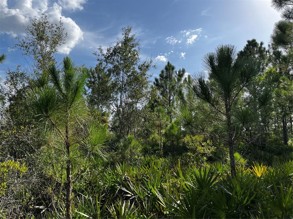 50204 Bermont Road Punta Gorda, FL 33982 - Photo 32 of 50