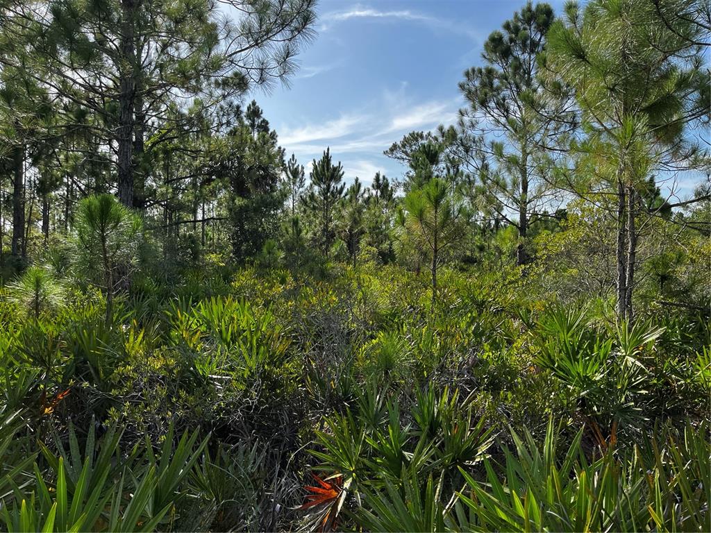 50204 Bermont Road Punta Gorda, FL 33982 - Photo 33 of 50