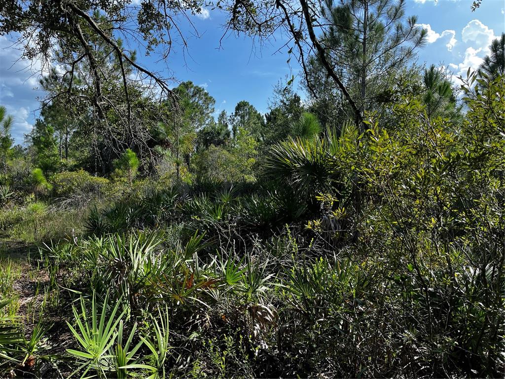 50204 Bermont Road Punta Gorda, FL 33982 - Photo 35 of 50