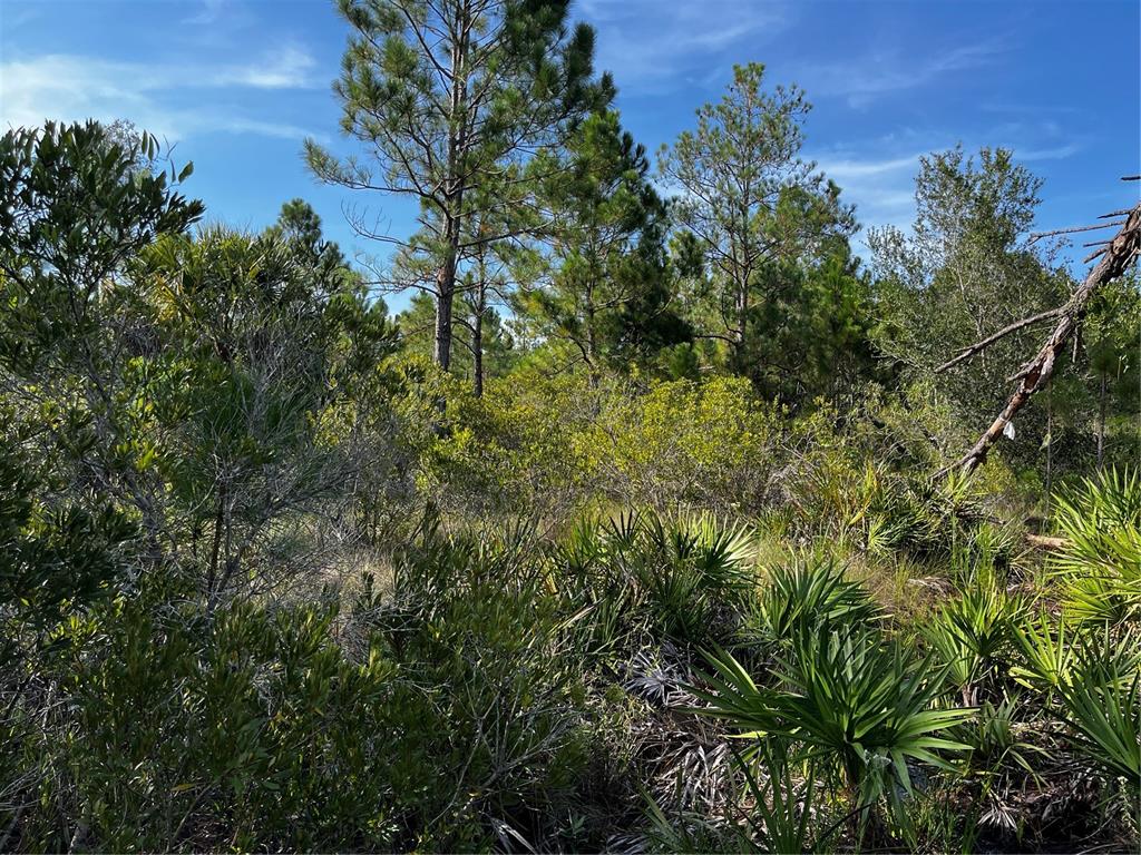 50204 Bermont Road Punta Gorda, FL 33982 - Photo 36 of 50