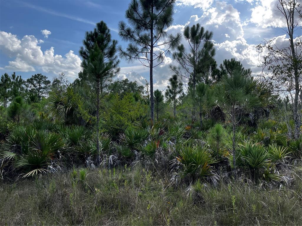50204 Bermont Road Punta Gorda, FL 33982 - Photo 40 of 50