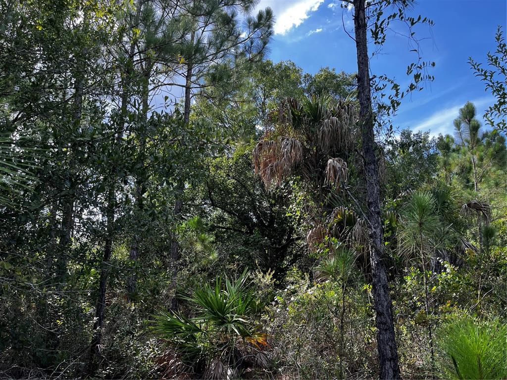 50204 Bermont Road Punta Gorda, FL 33982 - Photo 45 of 50