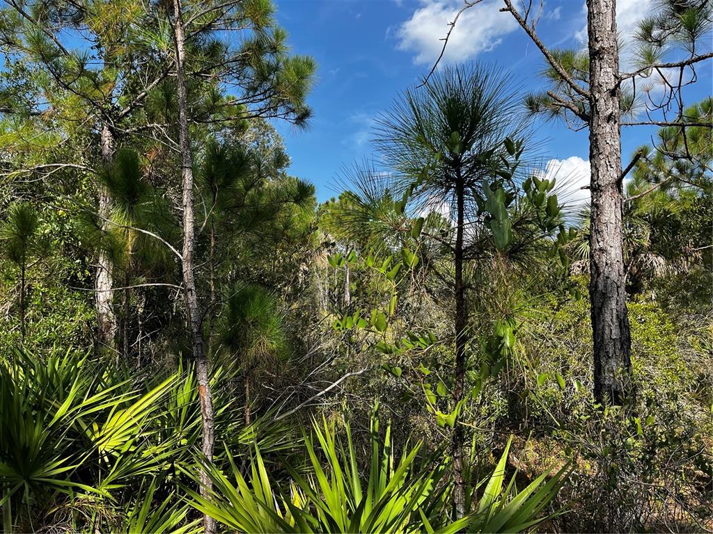 50204 Bermont Road Punta Gorda, FL 33982 - Photo 48 of 50