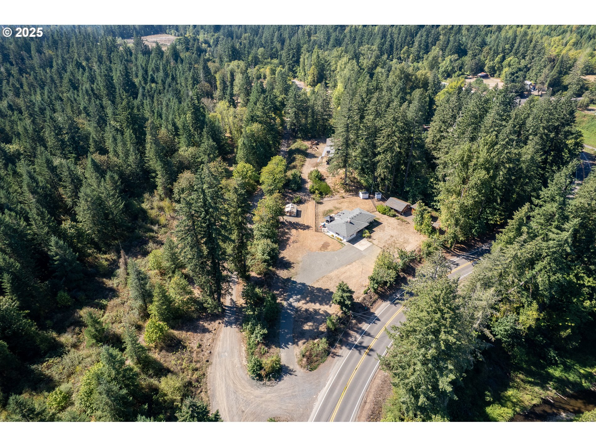 23636 Highway 224 Boring, OR 97009 - Photo 5 of 48 a view of a forest with a forest