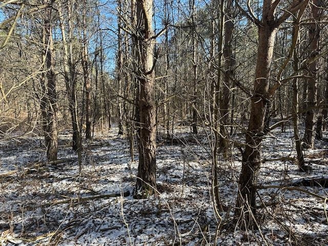 0 North 31 Road Manton, MI 49663 - Photo 8 of 13