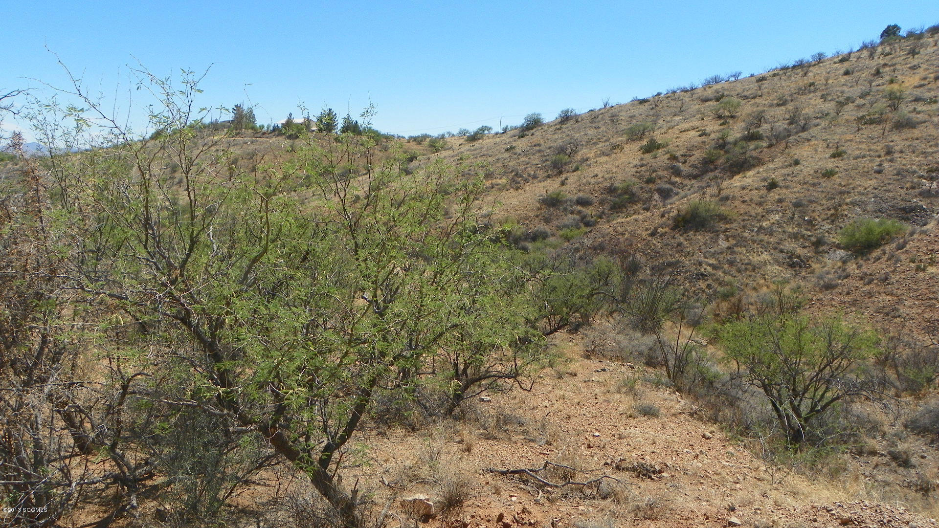 1352 Ideal Lane Rio Rico, AZ 85648 - Photo 4 of 8