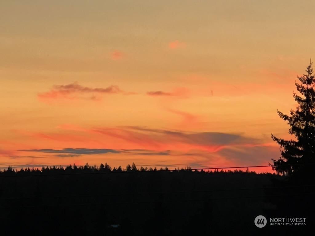 220 East Olympic Drive Grapeview, WA 98546 - Photo 39 of 40 a view of sunset