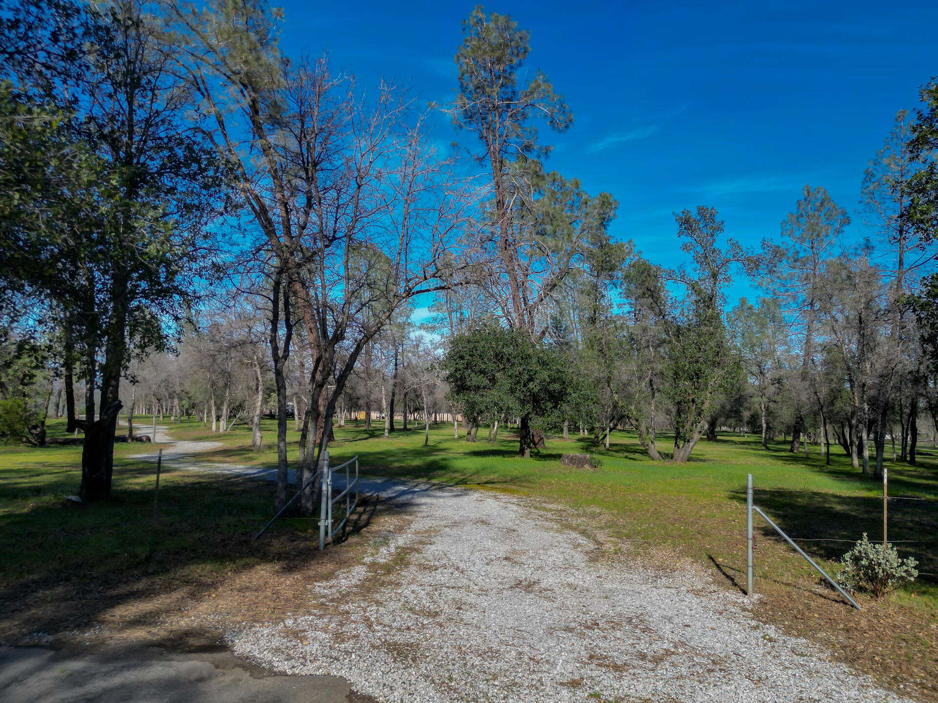 ButterfieldProperty-1