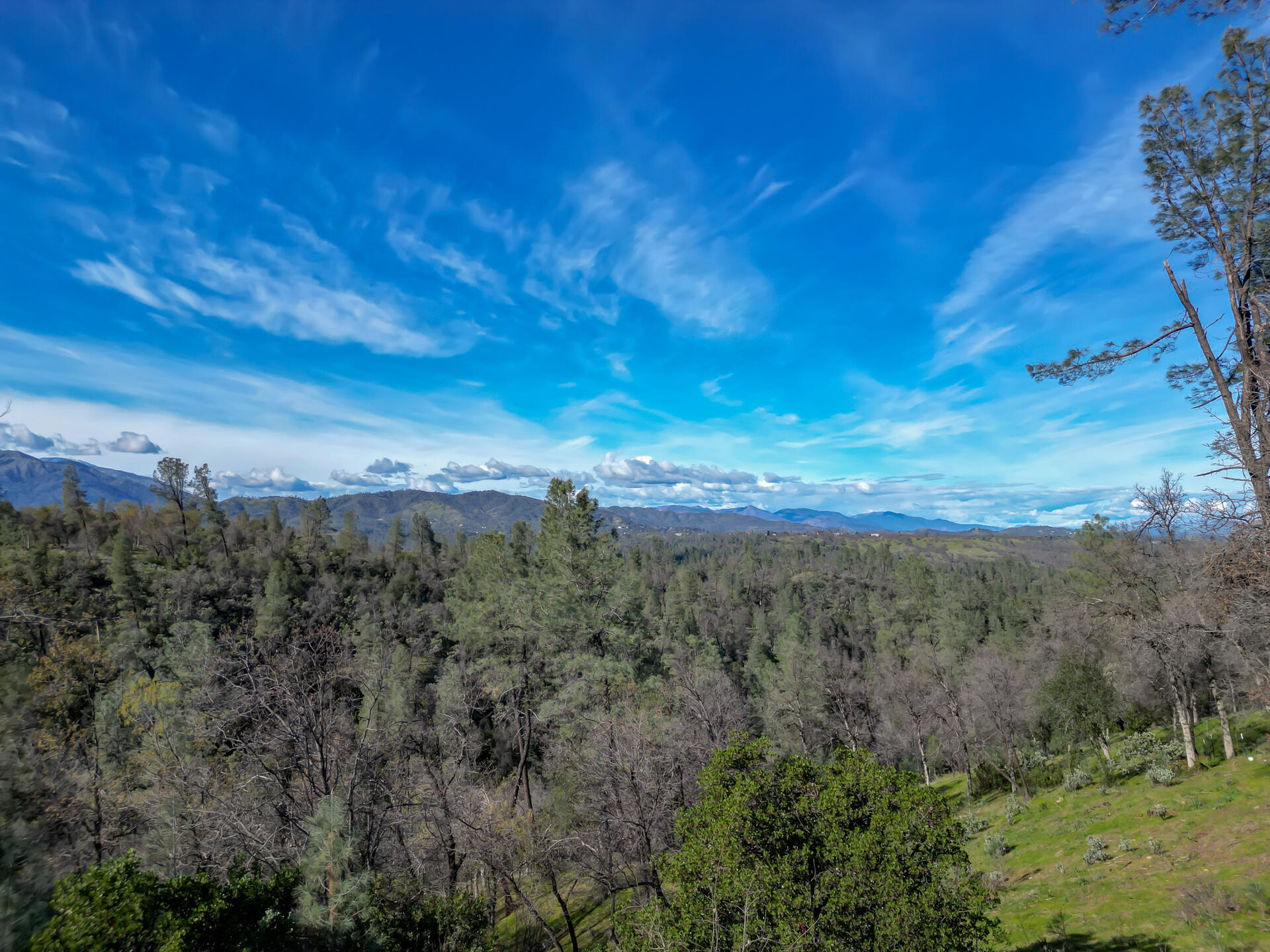 0 Butterfield Lane Anderson, CA 96007 - Photo 13 of 21 ButterfieldProperty-10