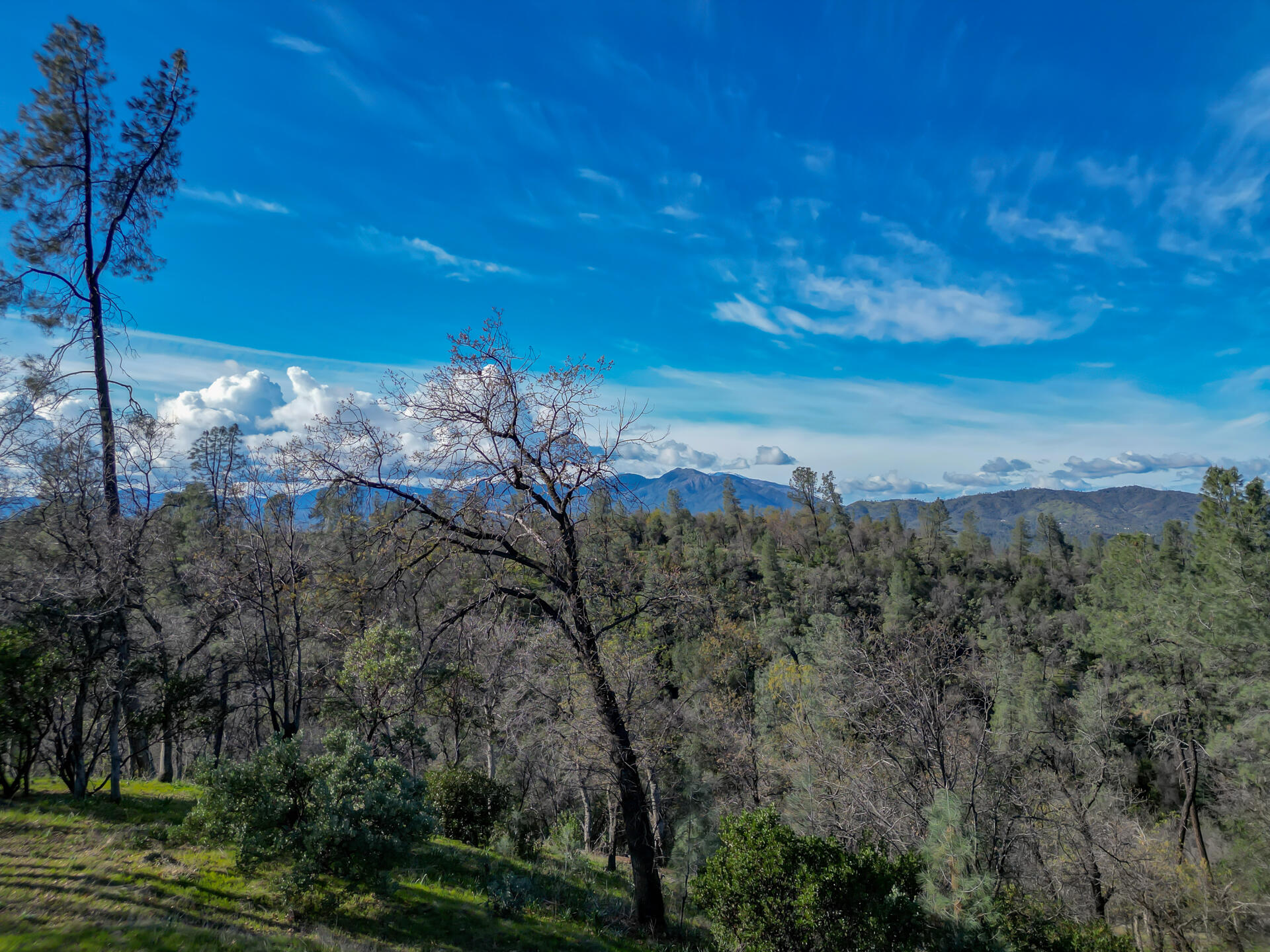 0 Butterfield Lane Anderson, CA 96007 - Photo 15 of 21 ButterfieldProperty-11