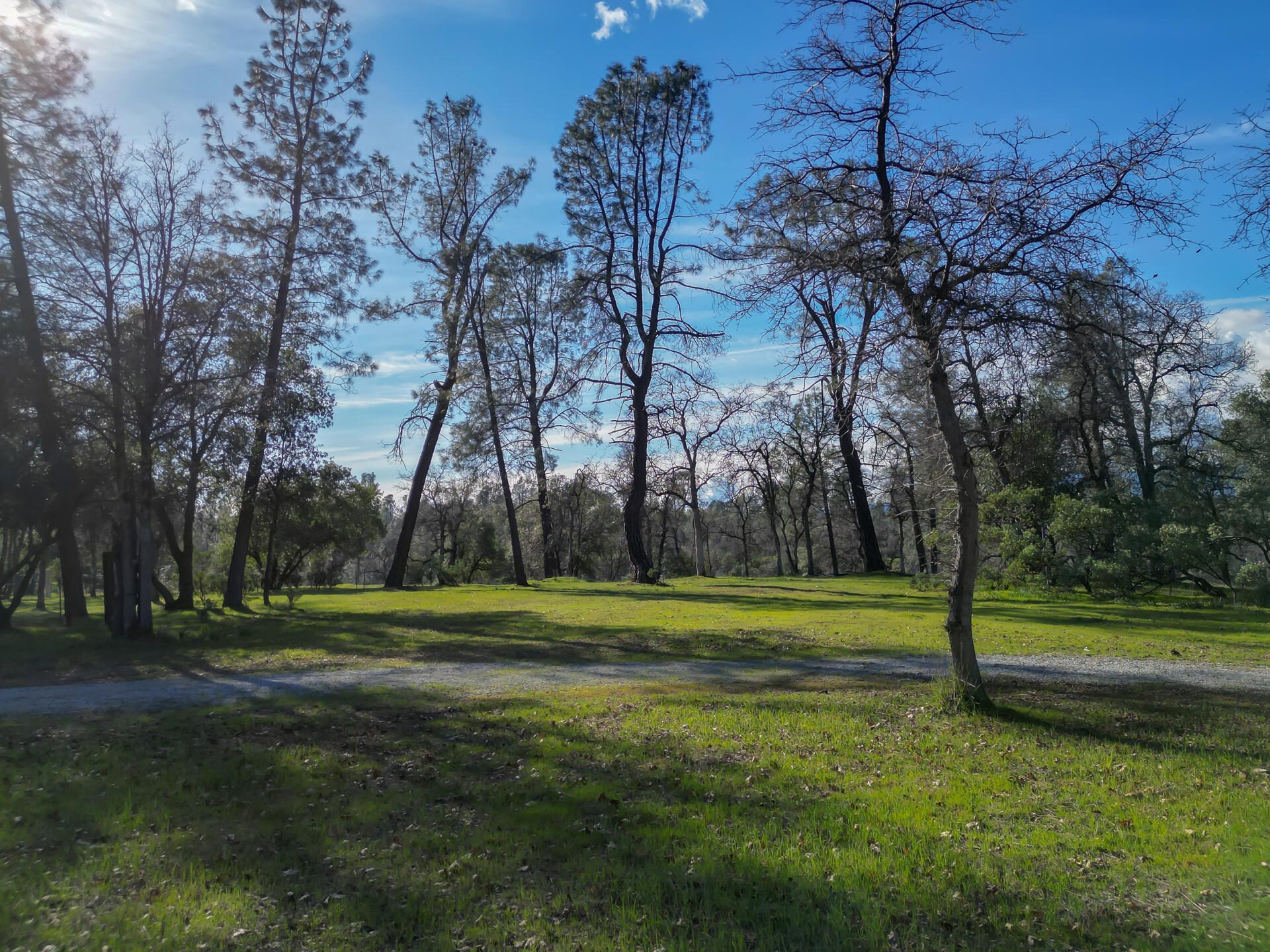 0 Butterfield Lane Anderson, CA 96007 - Photo 7 of 21 ButterfieldProperty-7